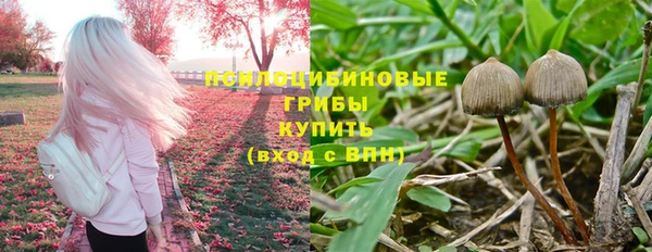 дмт Алексеевка