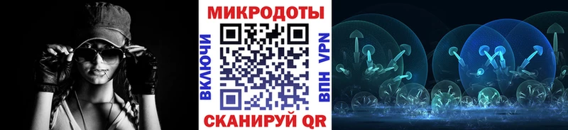 Псилоцибиновые грибы Cubensis  Зея 
